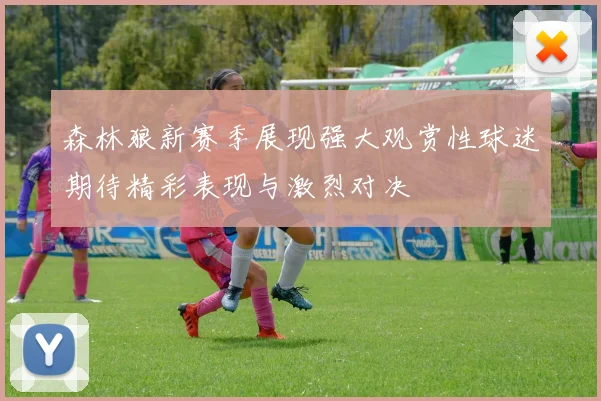 森林狼新赛季展现强大观赏性球迷期待精彩表现与激烈对决